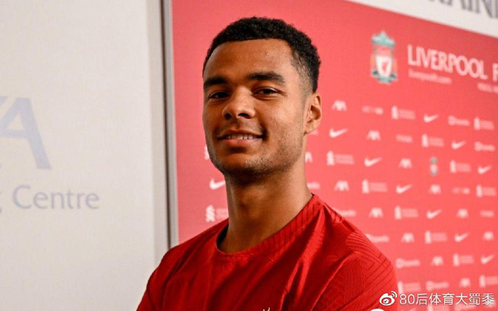 贝弗利力挺 贝弗利力挺