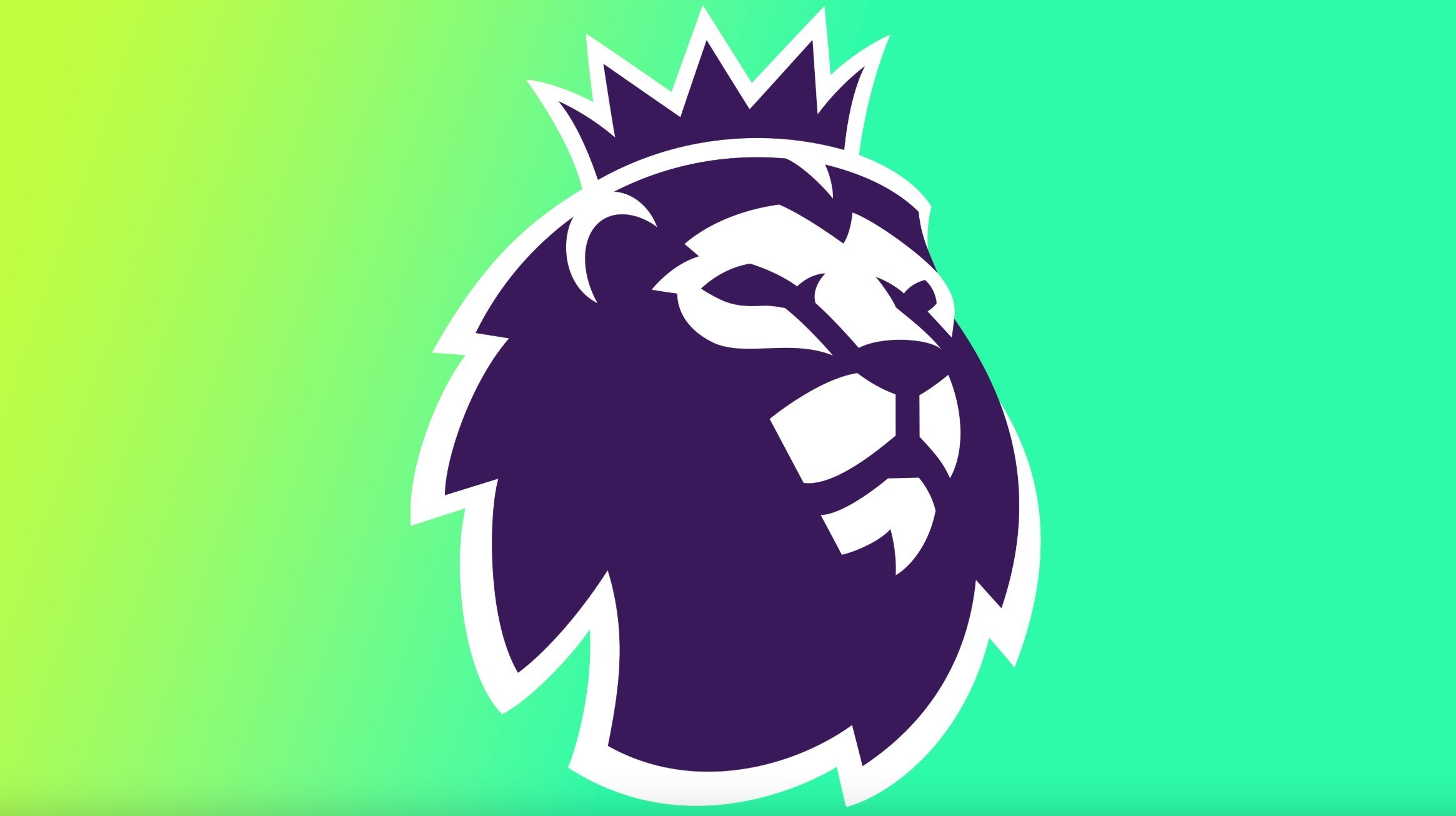 的全流程 的全流程