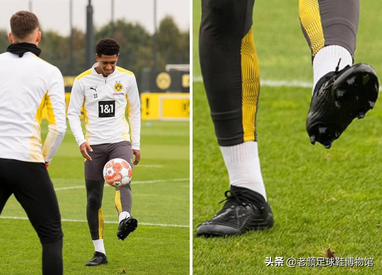 馈而被重新 馈而被重新